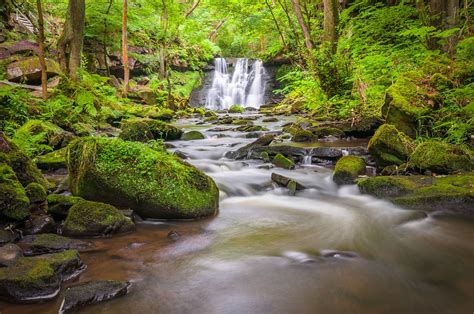 50 Of The Best Waterfalls In Yorkshire Artofit