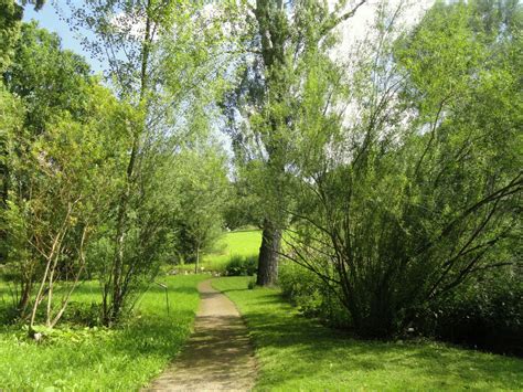 Free Images Landscape Tree Nature Forest Path Grass Sky Lawn