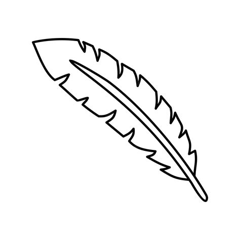 Premium Vector Feather Vector Illustration Cartoon Feather Feather