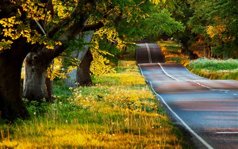 Road Hd Wallpaper Background Image 2560x1600