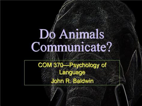 Ppt Do Animals Communicate Powerpoint Presentation Free Download