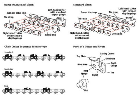 Chainsaw Cutting Chain Terminology Lawnmowerpros Diy