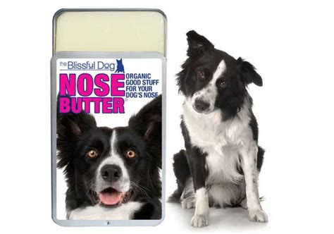 Border Collie Original Nose Butter Organic By Theblissfuldog