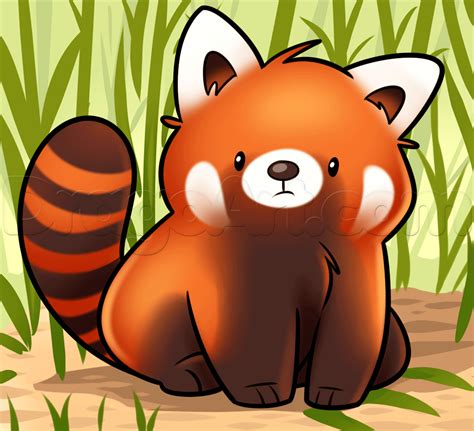 How To Draw A Red Panda Cute Panda Drawing Red Panda Cute Panda