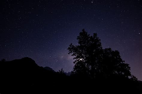Night Starry Sky Trees Silhouette Hd Wallpaper Peakpx