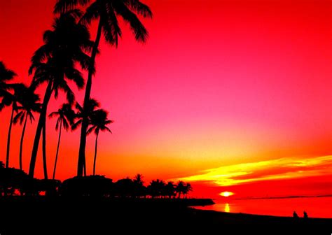 Sunset Miami Hd Flutejinyeoung