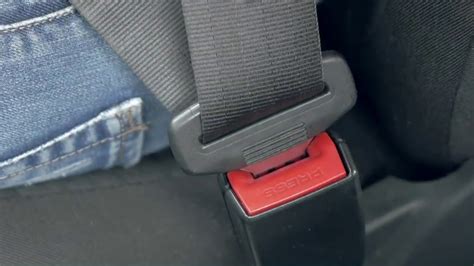buckle up new law would require everyone wear a seat belt in the backseat