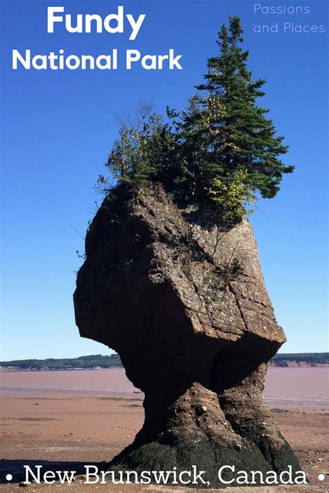 In Honor Of Canada Day A Guide To Fundy National Park Fundy National
