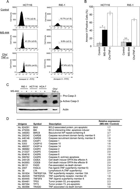 ms 444 selectively promotes apoptosis in crc cells a b hct116 and download scientific diagram