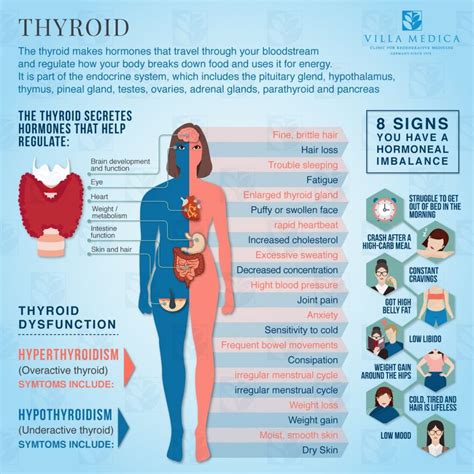 Thyroid Gland Disorders Symptoms And Diagnosis Modes H Medical