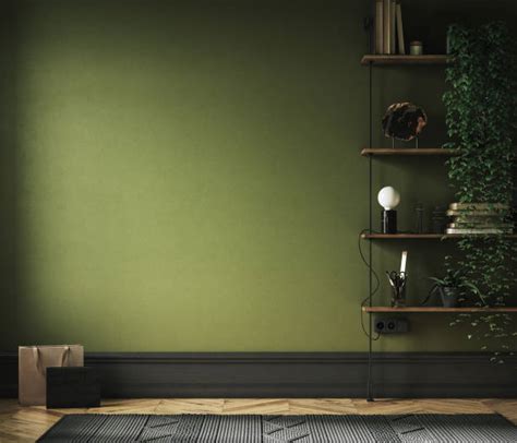 Olive Green Rooms Stock Photos Pictures And Royalty Free Images Istock