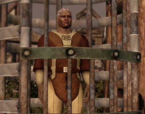 El Prisionero Qunari Dragon Age Wiki Fandom