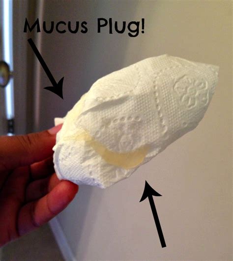 During this trimester, your baby. Pregnant Bloody Stool. Mucus And Blood In Stool Pic Glow ...