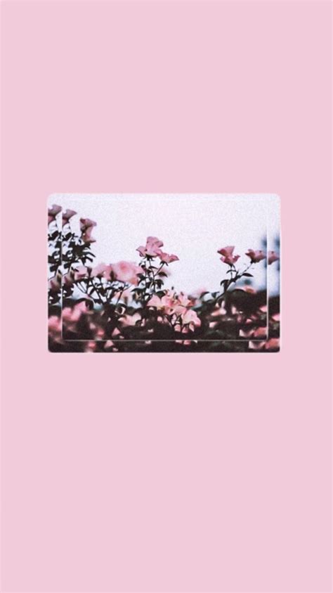 56 photos · curated by isabel winer. 140+ Pink Aesthetic Tumblr Laptop - Android, iPhone ...