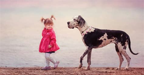 Little Kids And Their Big Dogs Make A Delightful Pair