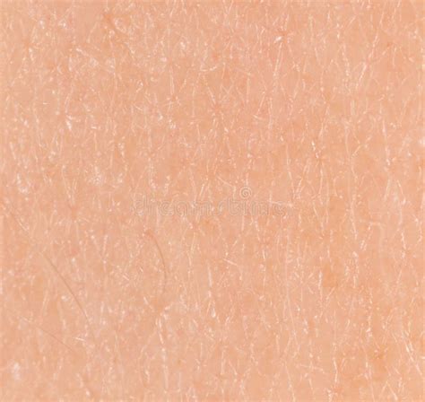 Human Skin As A Background Macro Stock Image Image Of Closeup