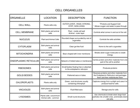 The animal cell has 13 different types of organelles¹ with specialized functions. Cell Organelles, locations, description, and functions ...