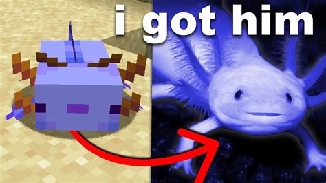 I Bought A Minecraft Axolotl In Real Life Minecraft Videos