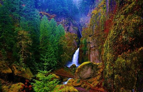 Pin By ⊱ Cindy J Kelly ⊱ On Chasing Waterfalls ♒ Oregon Waterfalls
