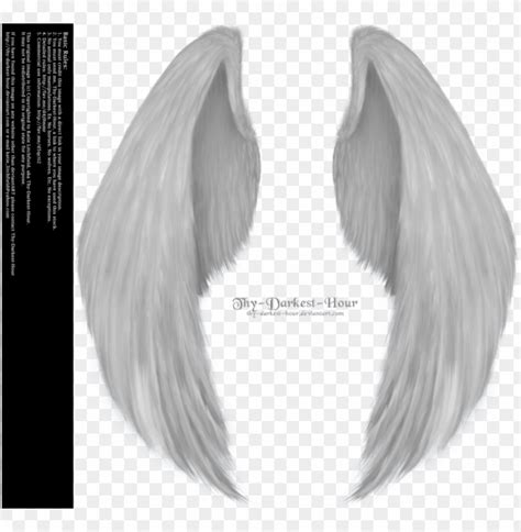 Angel Wings Png Clipart Angel Wing PNG Image With Transparent