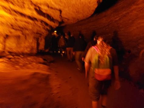 Grand Avenue Tour Mammoth Cave National Park 2022 What To Know