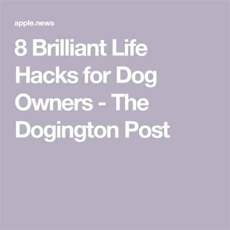 8 Brilliant Life Hacks For Dog Owners The Dogington Post
