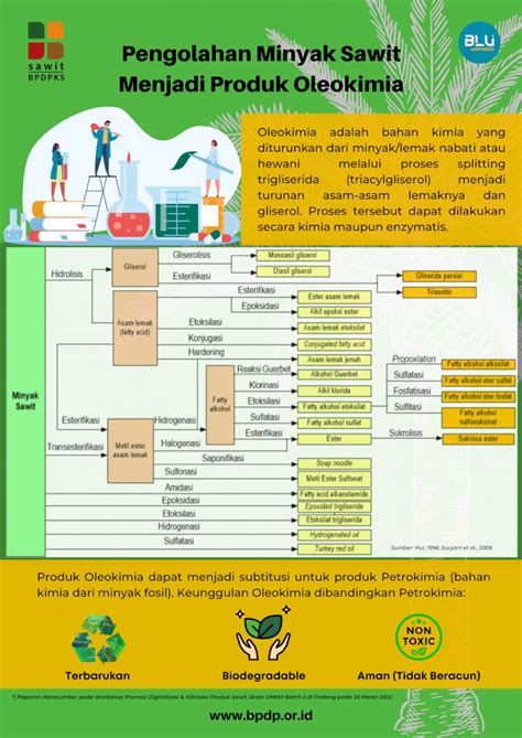 Infografis Pengolahan Minyak Sawit Menjadi Produk Oleokimia Beranda