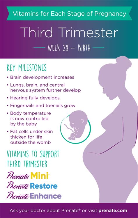 Prenatal Vitamins For Each Stage Of Pregnancy Third Trimester Months