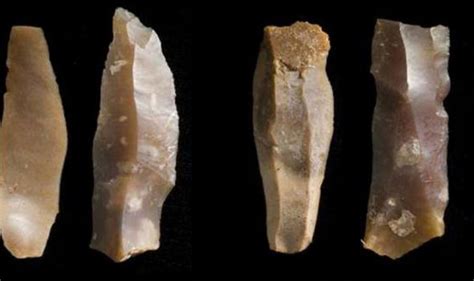 stone age dna discovery uncovers africa migration mystery world news uk