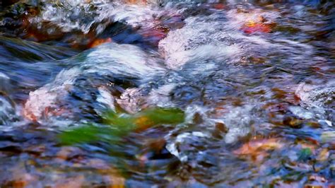 Water Flowing Over Stones In Forest River Stock Footage Sbv 305256908