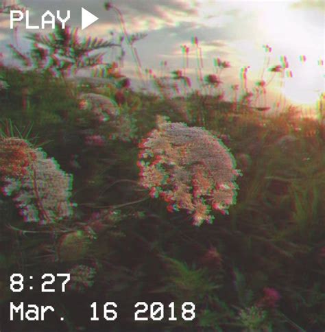 Deleted these pictures of this page are about:cute aesthetic 300x300. a.n.y ☼ | Aesthetic pictures, Aesthetic grunge, Flower ...