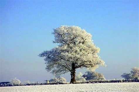 More Shropshire Snow Photos Shropshire Star