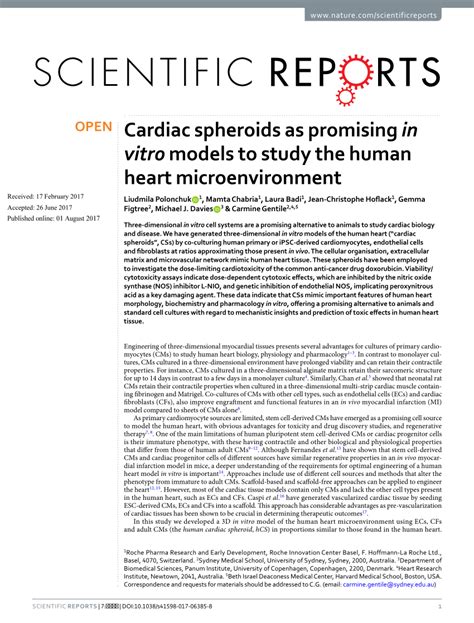 Pdf Cardiac Spheroids As Promising In Vitro Models To Study The Human