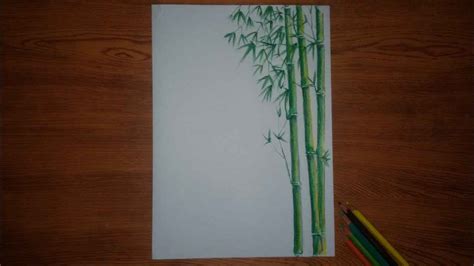Detail Cara Menggambar Pohon Bambu Koleksi Nomer 5
