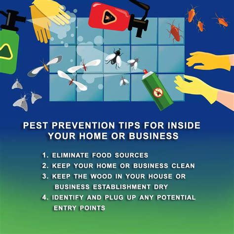 Pest Prevention Tips And Pest Control Tricks For Southern Florida