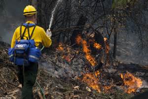 Three Firefighters Killed Battling Washington State Wildfire Daily