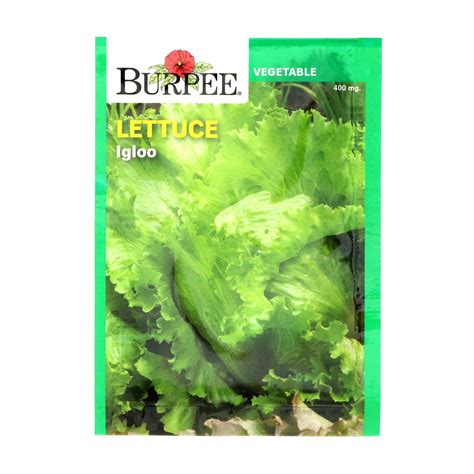 Burpee Igloo Lettuce Seeds Shop Seeds At H E B