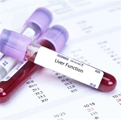 Liver Function Test Normal Values Test Interpretation Results Explained