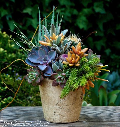 Floral Style Succulent Container Arrangement From The Succulent Perch