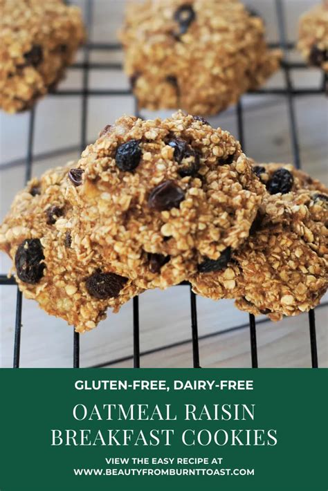 It is the only recipe you will ever need! Gluten-Free Dairy-Free Oatmeal Raisin Cookies | Recipe in 2020 | Dairy free, Breakfast cookies ...