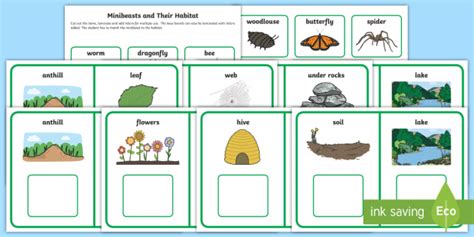 Workstation Pack Minibeasts And Their Habitat Matching Activity Pack