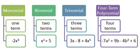 Madamwar Monomial Binomial Trinomial Polynomial Worksheet