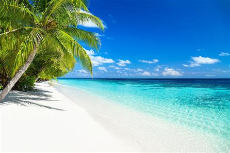 Riu Palace Paradise Island All Inclusive United Vacations