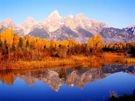 Autumn Grand Teton National Park Reflection Background 🔥 Top Free