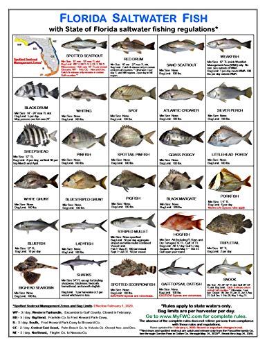 Top 10 Fishing Charts Florida Of 2020 No Place Called Home