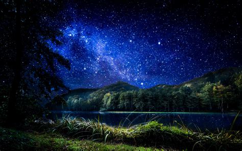 Trees Near Body Of Water Under Starry Skies Landscape Stars Forest