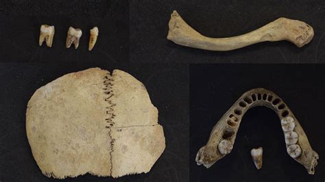 Oldest Human Dna Found In The Uk Reveals Origins Of Early Britons The