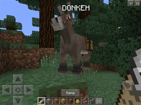 Name the tag in an anvil first, then shift + right click on the horse. More than you'll ever need to know about horses in ...