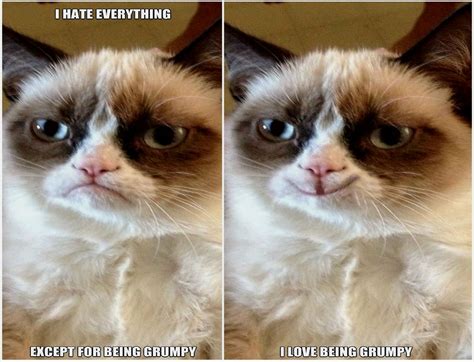 Cat Download Comic Wallpapers Quote Grumpy Funny Humor