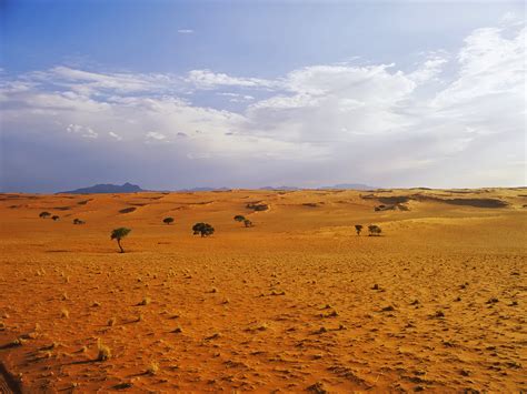 46 Desert Landscape Wallpaper Wallpapersafari